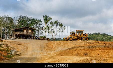 MALAYSIA, road construction, plantation with oil palm on deforested