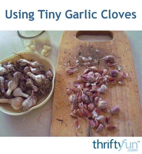 Using Tiny Garlic Cloves | ThriftyFun