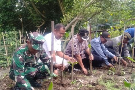 Puncak HPN 2023 FPB Tanam Bibit Mangrove Bareng Wabup