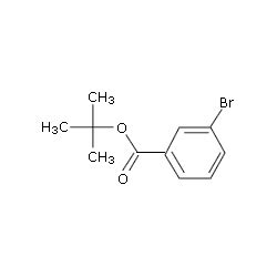 Bromo Benzoic Acid And Tert Butyl Ester At Best Price In Ankleshwar