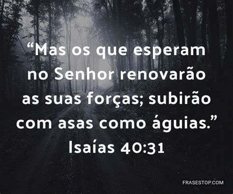 Mas Os Que Esperam No Senhor Renovarão As Suas Frasestop