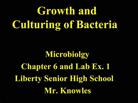 Ppt Growth And Culturing Of Bacteria Powerpoint Presentation Free Download Id1209802