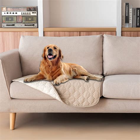 Is a Dark or Light Couch Better With Dogs? Find Out Now!