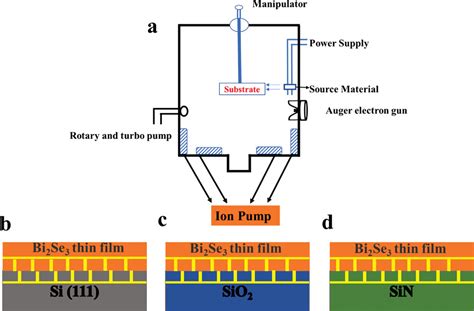 Revealing The Substrate Dependent Ultrafast Phonon Dynamics In Bi Se