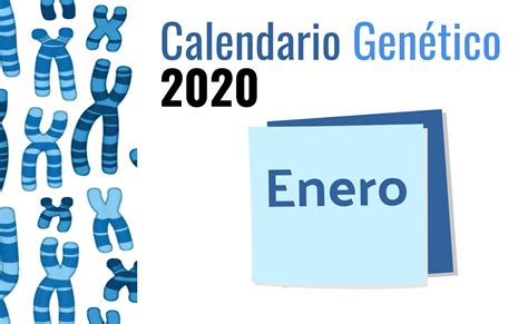 Calendario Gen Tico Enero Genotipia