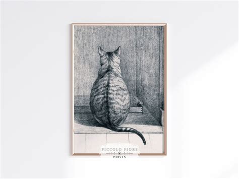 Vintage Cat Black and White Sketch Cat Study Art Print Cat - Etsy