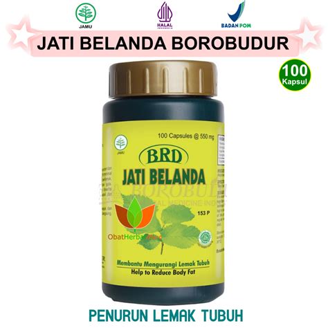 Jual Kapsul Jati Belanda Borobudur Jamu Obat Herbal Pelangsing