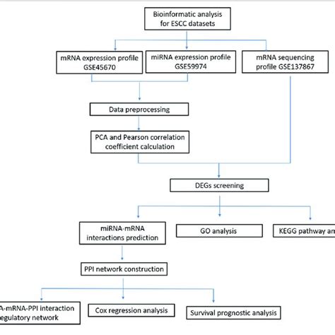 A Schematic Diagram Of Bioinformatics Analysis For Escc Datasets