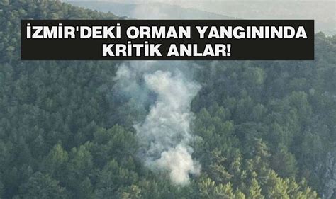 İzmir deki Orman Yangınında Kritik Anlar Yenigün Gazetesi