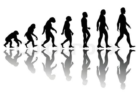 Evolution, generation, halm | Vektorgrafik | Colourbox