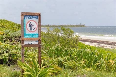 La Jornada Maya Quintana Roo Miguel Améndola Turismo sostenible