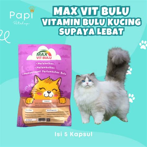 Jual Vitamin Max Vit Bulu Suplemen Bulu Sehat Untuk Kucing Obat Pelebat