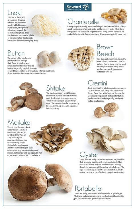 Different Mushrooms And How To Cook Them