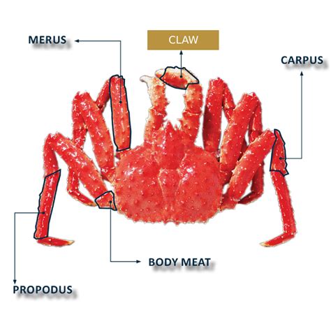 King Crab Claw Meat Frozen Pack