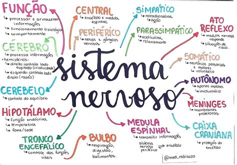 Sistema Nervoso Mapa Mental - Mapa Mental Sistema Nervoso - FDPLEARN