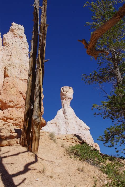 Bryce Schlucht Felsen Kostenloses Foto Auf Pixabay Pixabay