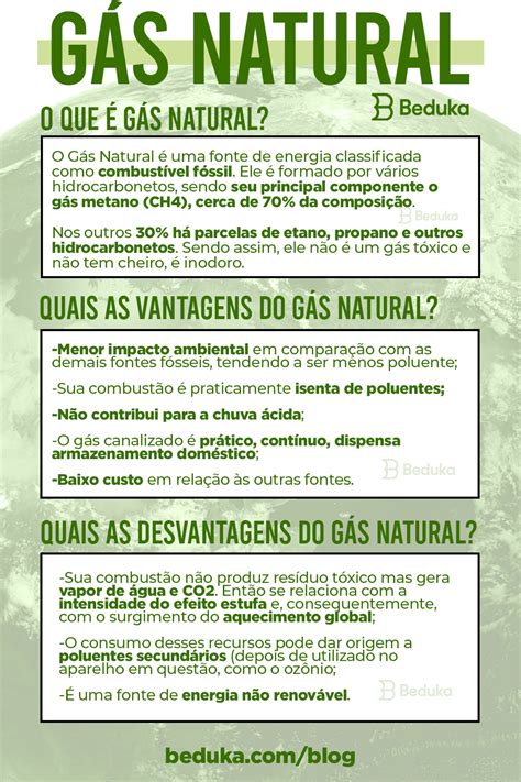 O Que G S Natural Dos Tipos S Vantagens E Desvantagens Como