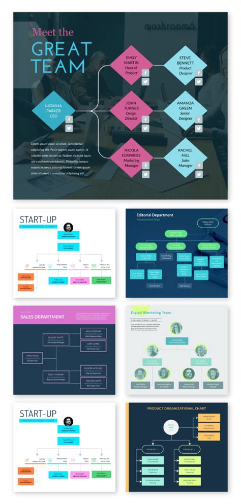 Organizational Chart Creator Free