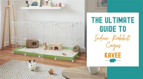 Indoor Rabbit Cages The Definitive Guide