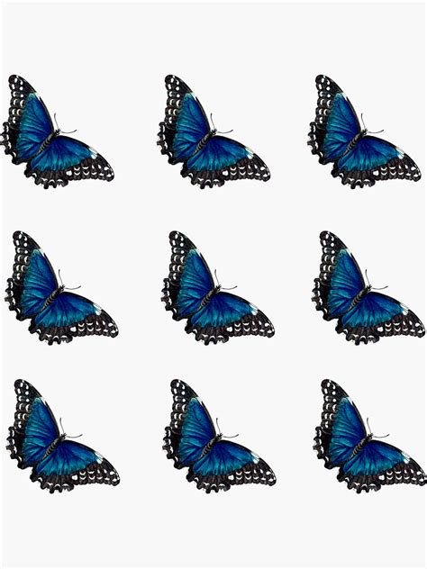 Blue Butterfly Pack Sticker For Sale By PeoplesayDisign Redbubble