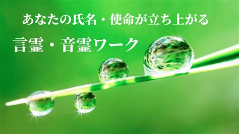 あなたの氏名・使命が立ち上がる言霊・音霊セミナー開催しました。 声と言葉で心理の先の真理を伝えるフェイスキーパー及川徳子オフィシャルブログ