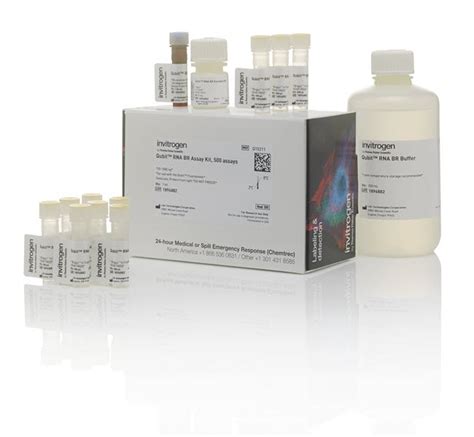 Qubit Rna Br Assay Kit Thermo Fisher Scientific