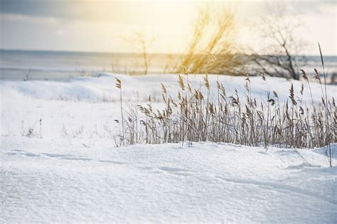 Sunny winter landscape | Free Stock Image - Barnimages