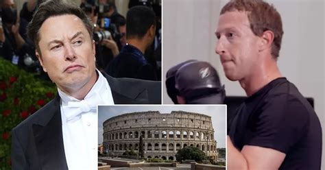 Elon Musk Vs Mark Zuckerberg Ufc Fight Could Be Held In Rome S