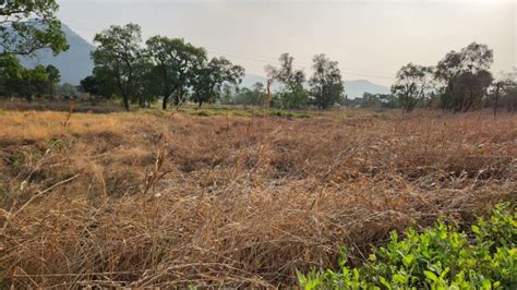 Agricultural Land Guntha For Sale In Karjat Mumbai Rei