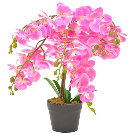 Orchid E Artificielles En Pot Wild Natur