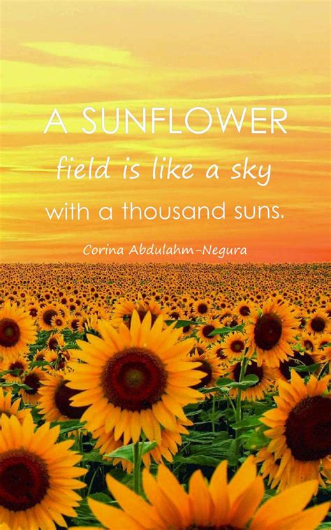 Sunflower Quotes Wallpapers - Top Free Sunflower Quotes Backgrounds ...