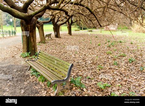 Empty Bench In The Park Side View Stock Photo Alamy