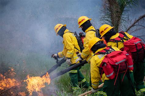 Colombia Incendios Forestales Ya Arrasaron Con Más De 300 Hectáreas Y