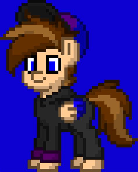 New Update Of Seb The Pony On Pony Town By Sebgrouparts2009