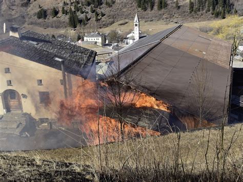 Der Schweizer Bauer Brand Auf Bauernhof K He Unverletzt