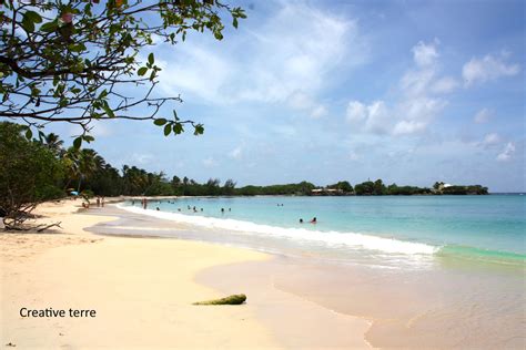 Martinique La Plage Des Salines Creative Terre