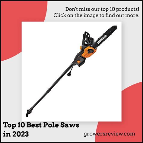 Top 10 Best Pole Saws In 2024 Growersreview