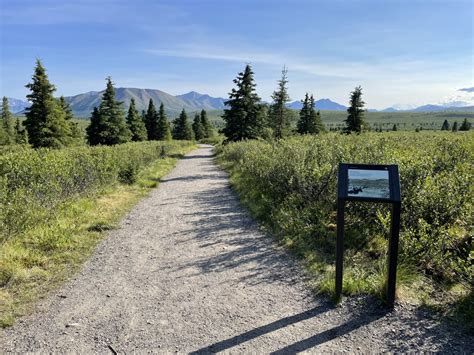 Mountain Vista Loop Trail - Denali National Park & Preserve (U.S. National Park Service)