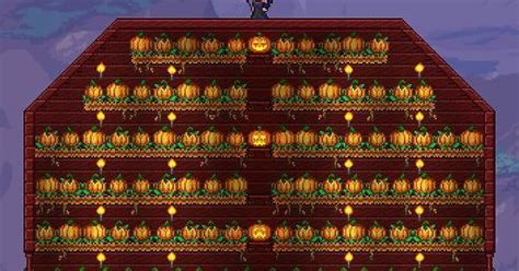 how to get pumpkins terraria