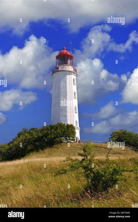 Deutschland Mecklenburg Vorpommern Leuchtturm Dornbusch Dornbusch