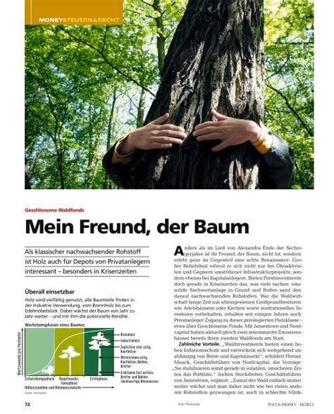 Mein Freund Der Baum Ist Tot Text