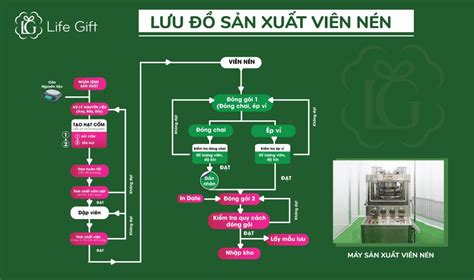 Dây chuyền sản xuất viên nén CÔNG TY TNHH SẢN XUẤT ĐẦU TƯ LIFE GIFT