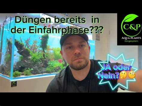 Einfahrphase Aquarium D Ngen Youtube