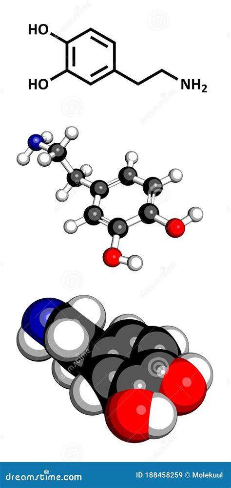 Mol Cula De Neurotransmisor Dopamin Rgico Stock De Ilustraci N