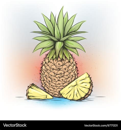 Colorful Watercolor Pineapple Royalty Free Vector Image