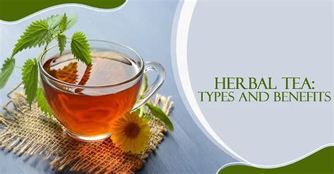 Herbal Tea: Types And Benefits - Sheas Apothecary - Medium