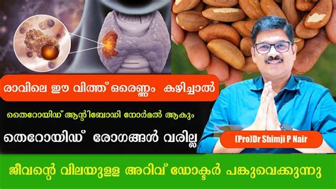 രാവിലെ ഈ വിത്ത് ഒരെണ്ണം കഴിച്ചാൽ തൈറോയിഡ് ആന്റിബോഡി നോർമൽ ആകുംതൈറോയിഡ്