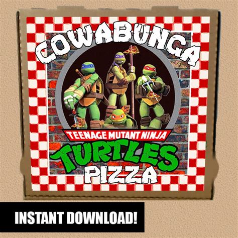 Michelangelo Tmnt Pizza