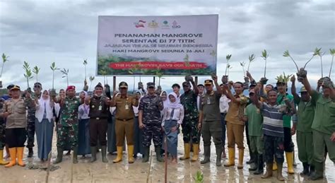 Peringatan Mangrove Sedunia Lanal Dabo Singkep Tanam Ribuan Bibit