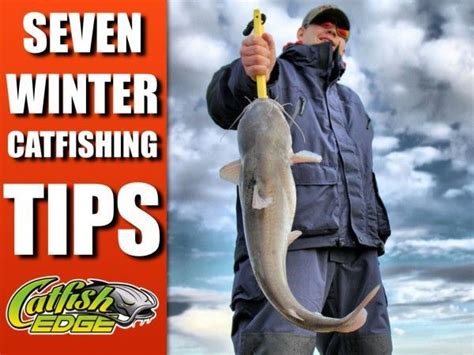 Seven Winter Catfishing Tips To Catch More Catfish Catfish Fishing